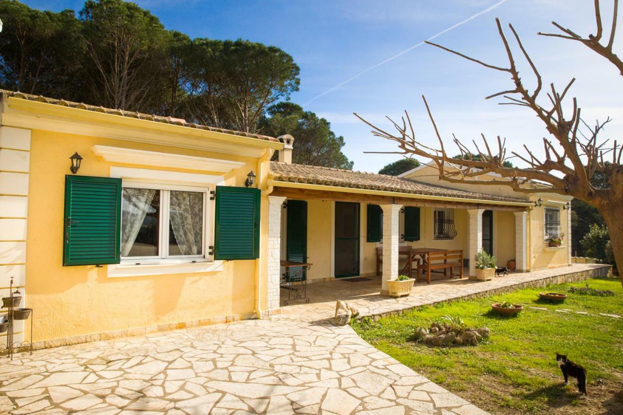 Kompítsion Villa Pine Forest מראה חיצוני תמונה